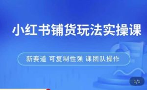 小红书铺货玩法实操课,流量大,竞争小,非常好做,新赛道,可复制性强,可团队操作-优品网赚资源库