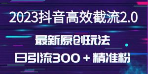 日引300＋创业粉，独家抖音高效截流2.0玩法（价值1280）-优品网赚资源库
