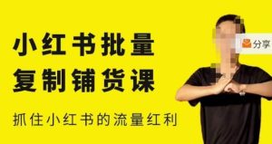 张宾·小红书批量复制铺货课，小红书0-1快速起号变现玩法，抓住小红书的流量红利（更新2023年3月）-优品网赚资源库
