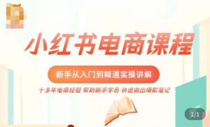 小红书电商新手入门到精通实操课,从入门到精通做爆款笔记,开店运营-优品网赚资源库