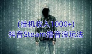 抖音Steam撸音浪玩法,挂机一天收入1000+不露脸 不说话 不封号 社恐人群福音-优品网赚资源库