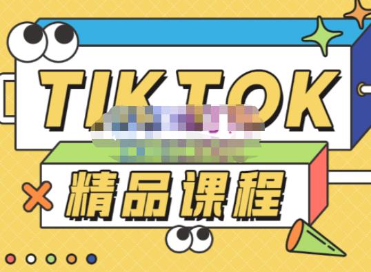 电商孵化中心·TikTok精品课程，教你玩转海外抖音，低成本创业，带您从0开始玩转TikTok-优品网赚资源库