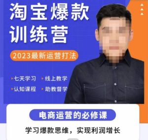 爱上黄昏·淘宝爆款训练营，2023最新运营打法，学习爆款思维，实现利润增长-优品网赚资源库