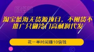 淘宝蓝海无货源项目，不囤货不推广只做冷门高利润代发，花一半时间赚10倍钱-优品网赚资源库
