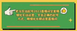 老马实战起号2023直播间全套精细化实战运营,学会正确的起号方式,精细化长期运营直播间-优品网赚资源库