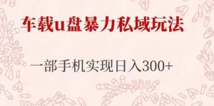 车载u盘暴力私域玩法，长期项目，仅需一部手机实现日入300+-优品网赚资源库