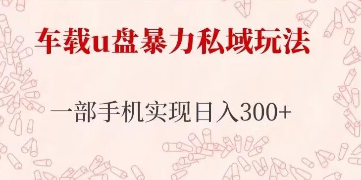 车载u盘暴力私域玩法，长期项目，仅需一部手机实现日入300+-优品网赚资源库