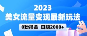 2023美女流量变现最新玩法，0粉撸金，日赚2000+，实测日引流300+-优品网赚资源库
