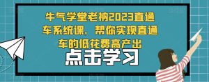 牛气学堂老衲2023直通车系统课,帮你实现直通车的低花费高产出-优品网赚资源库