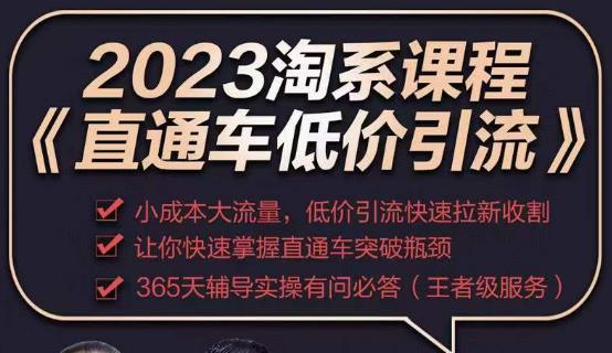 2023直通车低价引流玩法课程，小成本大流量，低价引流快速拉新收割，让你快速掌握直通车突破瓶颈-优品网赚资源库