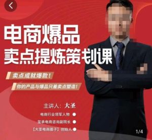 大圣·电商标品爆款卖点策划课，标品卖点成就爆款，可落地卖点提炼课-优品网赚资源库