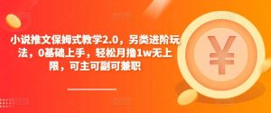 小说推文保姆式教学2.0，另类进阶玩法，0基础上手，轻松月撸1w无上限，可主可副可兼职-优品网赚资源库
