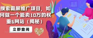 搜索霸屏推广项目,如何做一个能卖10万的权重6网站(揭秘)-优品网赚资源库