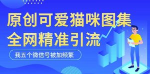 黑科技纯原创可爱猫咪图片，全网精准引流，实操5个VX号被加频繁-优品网赚资源库