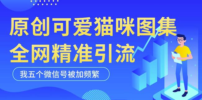 黑科技纯原创可爱猫咪图片,全网精准引流,实操5个VX号被加频繁-优品网赚资源库