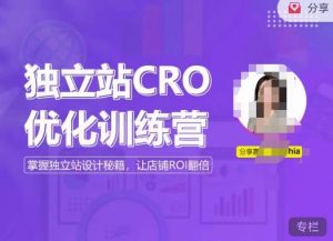 独立站CRO优化训练营，掌握独立站设计秘籍，打造高转化的独立站，让店铺ROI翻倍-优品网赚资源库