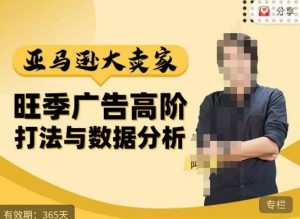 阿甘·亚马逊大卖家广告高阶打法与数据分析,走出传统广告误区;揭秘大卖惯用打法;数据驱动广告决策-优品网赚资源库
