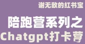 谢无敌ChatGPT打卡营，教你更好地使用ChatGPT来提高工作效率-优品网赚资源库