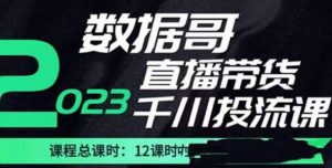 数据哥2023直播电商巨量千川付费投流实操课，快速掌握直播带货运营投放策略-优品网赚资源库