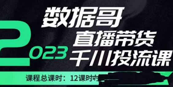 数据哥2023直播电商巨量千川付费投流实操课，快速掌握直播带货运营投放策略-优品网赚资源库