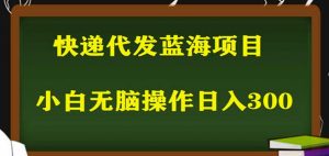 2023最新蓝海快递代发项目，小白零成本照抄也能日入300+-优品网赚资源库