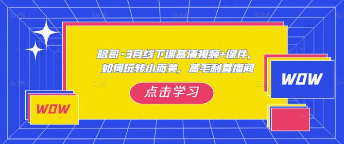 哈哥·3月线下实操课高清视频+课件,如何玩转小而美,高毛利直播间-优品网赚资源库
