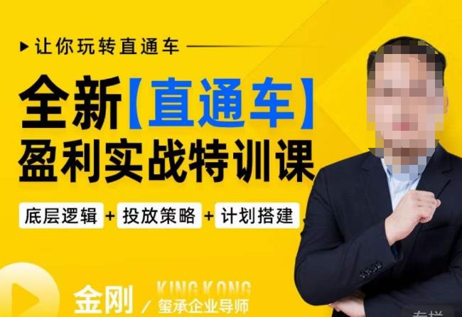 玺承·全新直通车盈利实战特训课,从底层逻辑详细拆解,从底层,策略到搭建,让你玩转直通车-优品网赚资源库