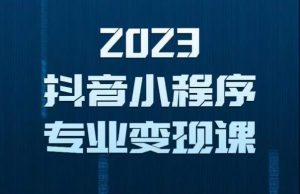 2023年抖音小程序变现保姆级教程,0粉丝新号,无需实名,3天起号,第1条视频就有收入-优品网赚资源库