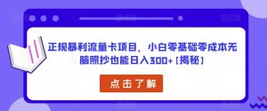 正规暴利流量卡项目，小白零基础零成本无脑照抄也能日入300+【揭秘】-优品网赚资源库