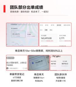 2023小红书电商火爆全网，新晋红利，风口项目，单店收益在3000-30000！-优品网赚资源库