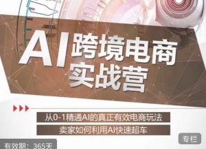 白龙老师·AI跨境电商实战营:从0-1精通Al的真正有效电商玩法,卖家如何利用Al快速超车-优品网赚资源库
