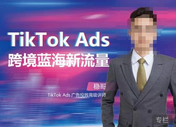 稳哥·如何投出高ROI的TikTok广告，开拓独立站卖家流量新蓝海-优品网赚资源库