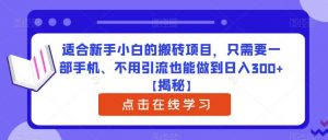 适合新手小白的搬砖项目,只需要一部手机、不用引流也能做到日入300+【揭秘】-优品网赚资源库