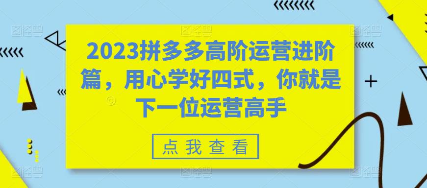 2023拼多多高阶运营进阶篇，用心学好四式，你就是下一位运营高手-优品网赚资源库