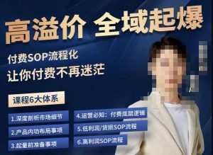 逸风-拼多多高溢价全域起爆,6大课程体系,付费玩法全套实操-优品网赚资源库
