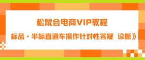 松鼠会电商VIP教程:松鼠《付费推广标品·半标直通车操作针对性答疑&诊断》-优品网赚资源库