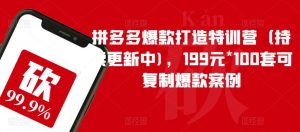 拼多多爆款打造特训营(持续更新中),199元*100套可复制爆款案例-优品网赚资源库