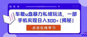 车载u盘暴力私域玩法，一部手机实现日入300+【揭秘】-优品网赚资源库