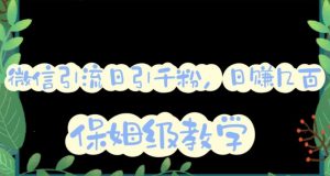 微信互推圈半自动引流方案,矩阵操作日引千人思路【详细视频教程】-优品网赚资源库