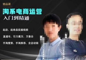 2023手淘搜索实操课+体系化课程，​起店起单品实操视频课程-优品网赚资源库