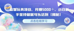 益智玩具项目，月赚5000＋，小白新手坚持做就可以达到【揭秘】-优品网赚资源库