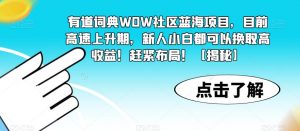 有道词典WOW社区蓝海项目，目前高速上升期，新人小白都可以换取高收益！赶紧布局！【揭秘】-优品网赚资源库