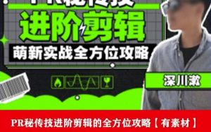 PR进阶剪辑培训班,让你快速成为剪辑大师12节视频课程+素材!-优品网赚资源库