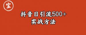 宝哥抖音直播引流私域的6个方法，日引流500+-优品网赚资源库