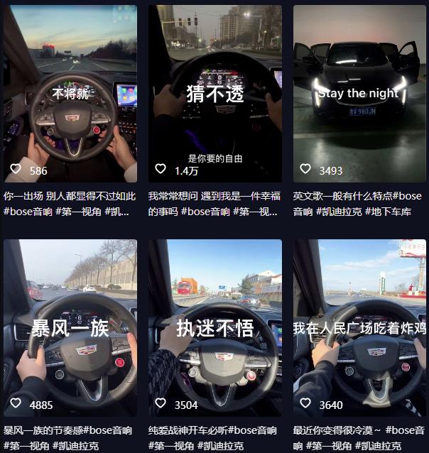 抖音开车视频项目，0基础操作，每天五分钟，月入1W+【揭秘】-优品网赚资源库