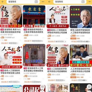 拆解小红书宝宝起名虚拟副业项目,一条龙实操玩法分享给你(教程+软件)-优品网赚资源库