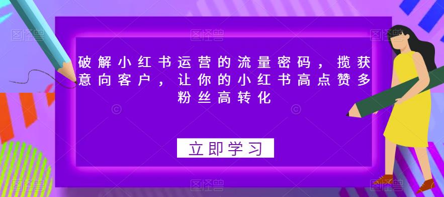 破解小红书运营的流量密码，揽获意向客户，让你的小红书高点赞多粉丝高转化-优品网赚资源库