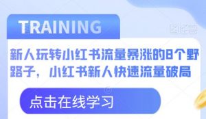 新人玩转小红书流量暴涨的8个野路子,小红书新人快速流量破局-优品网赚资源库