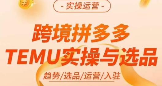 伍跃·跨境拼多多TEMU实操与选品，​趋势/选品/运营/入住（27节完整）-优品网赚资源库
