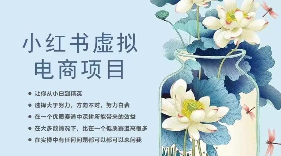 小红书虚拟电商从0到1,让你从小白到精英(20节实操课程)-优品网赚资源库
